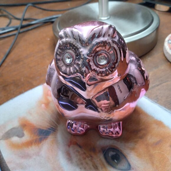 Owl Bank Bling - Picture 4 of 5